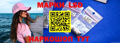 дживик Аша