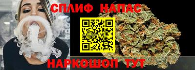 дживик Аша